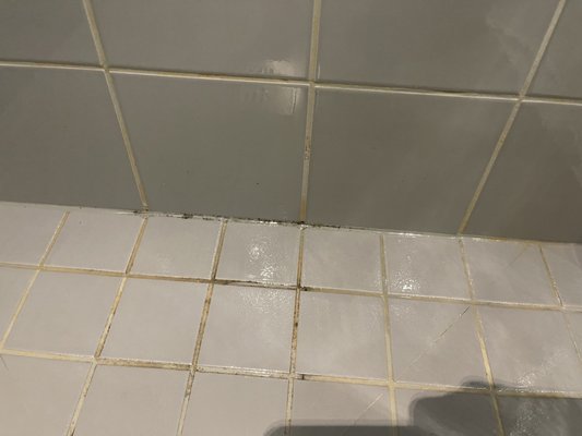 Gothia Towers by null