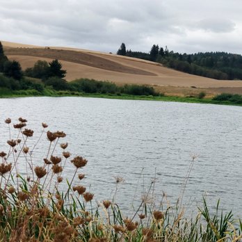 Unger Farms - The lake - Farmers Market Near Me - Cornelius, Oregon