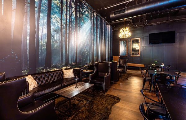 Skol Brewing Company by null