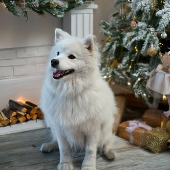 The Space OC - Nimbus sooo cute! - Venues & Event Spaces Near Me - Santa Ana, California The Space OC - Nimbus sooo cute! - Venues & Event Spaces Near Me - Santa Ana, California