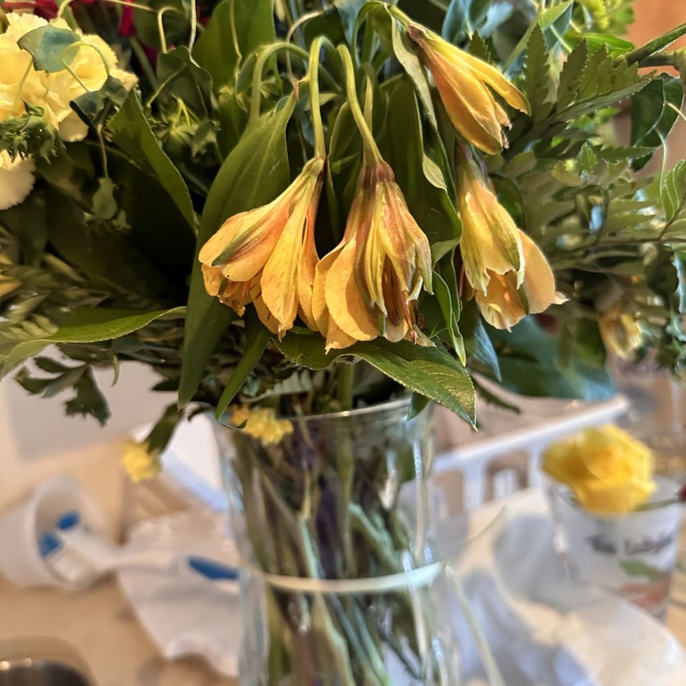 Conroy S Flowers Victorville California Best Flower Site