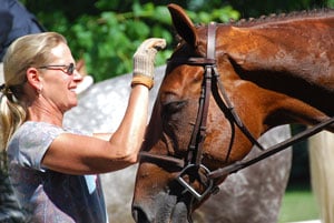 Long Grove Farms - equestrian in Kildeer, IL