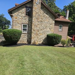 Neatly trimmed yews with fresh black mulch installed.