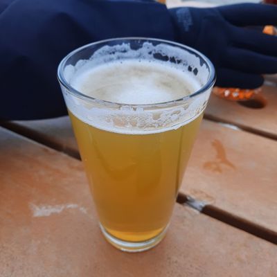 The Umbrella Bar by null