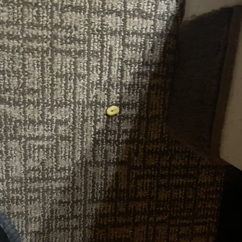 Quality Suites - Cheerios on a non vacuumed floor in a hotel room that was claimed to be clean. - Hotels Near Me - Morristown, Tennessee Quality Suites - Cheerios on a non vacuumed floor in a hotel room that was claimed to be clean. - Hotels Near Me - Morristown, Tennessee