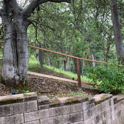 Tioga Lumber And Fence - Deer wire with redwood frame