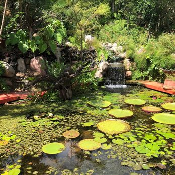 Vallarta Botanical Gardens - Botanical Gardens Near Me - Cabo Corrientes, JAL Vallarta Botanical Gardens - Botanical Gardens Near Me - Cabo Corrientes, JAL