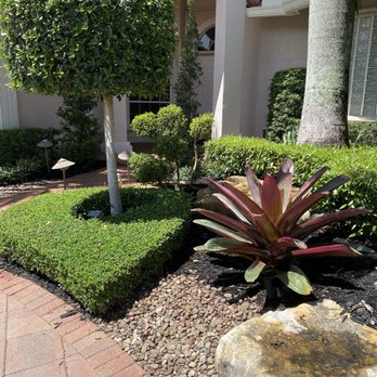 Bamboo And Orchid Gardens - Side view - Landscaping Near Me - Davie, Florida Bamboo And Orchid Gardens - Side view - Landscaping Near Me - Davie, Florida