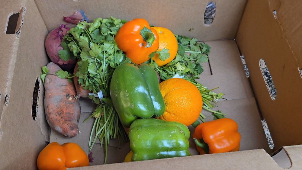 Westside Food Bank - social services organization in Santa Monica, CA