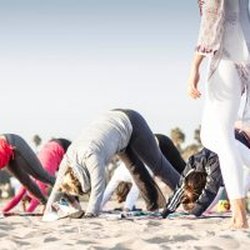 Liquid Bliss Yoga - Liquid Bliss Yoga beach classes on 80th Street in Harvey Cedars, NJ.