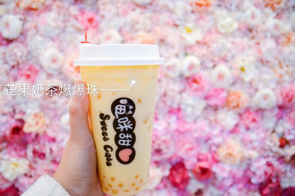 Sweet Cats Cafe by null