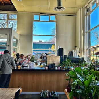 Bloomsgiving - Florists Near Me - Mountain View, California