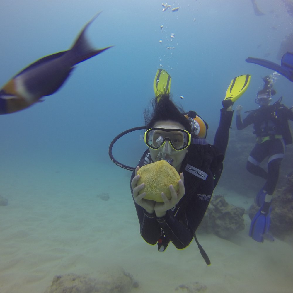 Oahu Diving - Scuba Diving Near Me - Honolulu, Hawaii