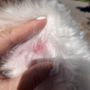 Photo of Vail Valley Animal Hospital - Eagle-Vail