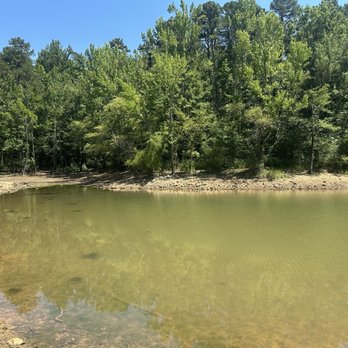 Rudd's Creek Recreation Area - Campgrounds Near Me - Boydton, Virginia Rudd's Creek Recreation Area - Campgrounds Near Me - Boydton, Virginia