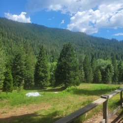 The Dunsmuir Lodge - View of the mountains