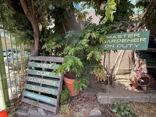 Fiorelli Pizza by null