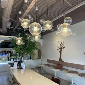 Möge Tee-Jacksonville - Bubble Tea Near Me - Jacksonville, Florida