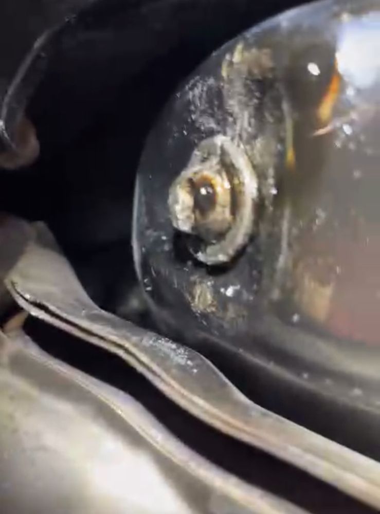 BEECHMONT SUBARU Updated October 2024 63 Reviews 8021 Beechmont