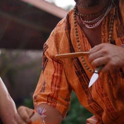 Kambo Frog Detox - Kambo is hydrated on the bamboo stick