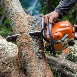 Kelley Brothers Tree Service