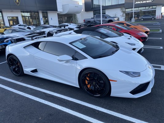 LAMBORGHINI NEWPORT BEACH - Updated June 2026 - 172 Photos & 90 Reviews ...