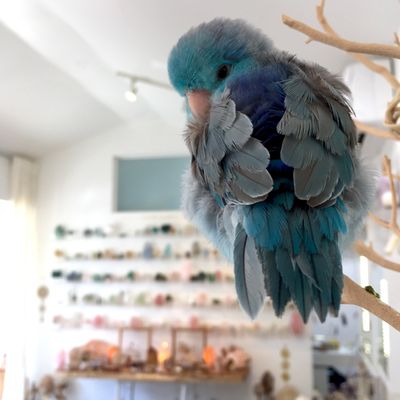 Ele Keats Jewelry + Crystals by null