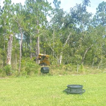 Power Logging and Land Clearing - Getting started and before view. - Tree Services Near Me Power Logging and Land Clearing - Getting started and before view. - Tree Services Near Me