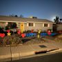 Photo of Flamingos By Night