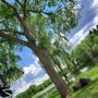 Photo of William Hawrelak Park