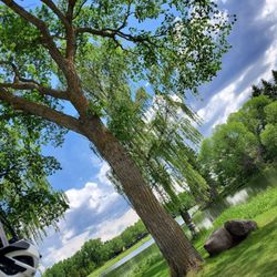 William Hawrelak Park