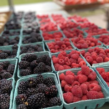 Flywheel Park - Produce from Piermont farmers market at Flywheel park - Parks Near Me - Piermont, New York Flywheel Park - Produce from Piermont farmers market at Flywheel park - Parks Near Me - Piermont, New York