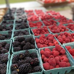 Flywheel Park - Produce from Piermont farmers market at Flywheel park