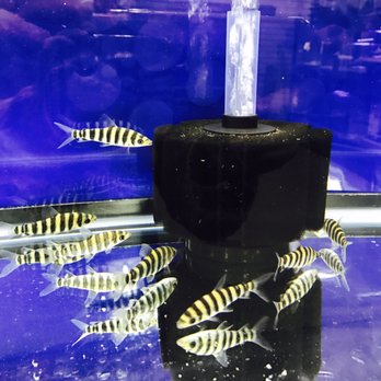 Amazing Aquarium - Aquariums Near Me - Brooklyn, New York