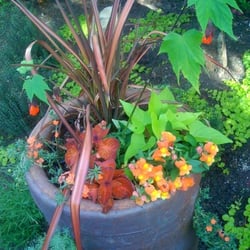 Virginia Hand Design - A freshly planted example of Virginia Hand's container design in our young garden