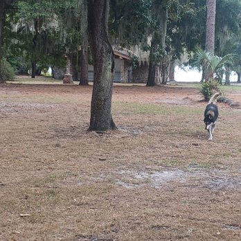 Lake Baldwin Park - Young lady out looking for Gilligan - Parks Near Me - Winter Park, Florida