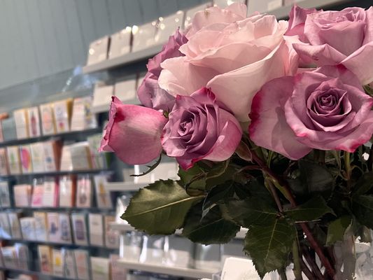 Lionheart Prints by null