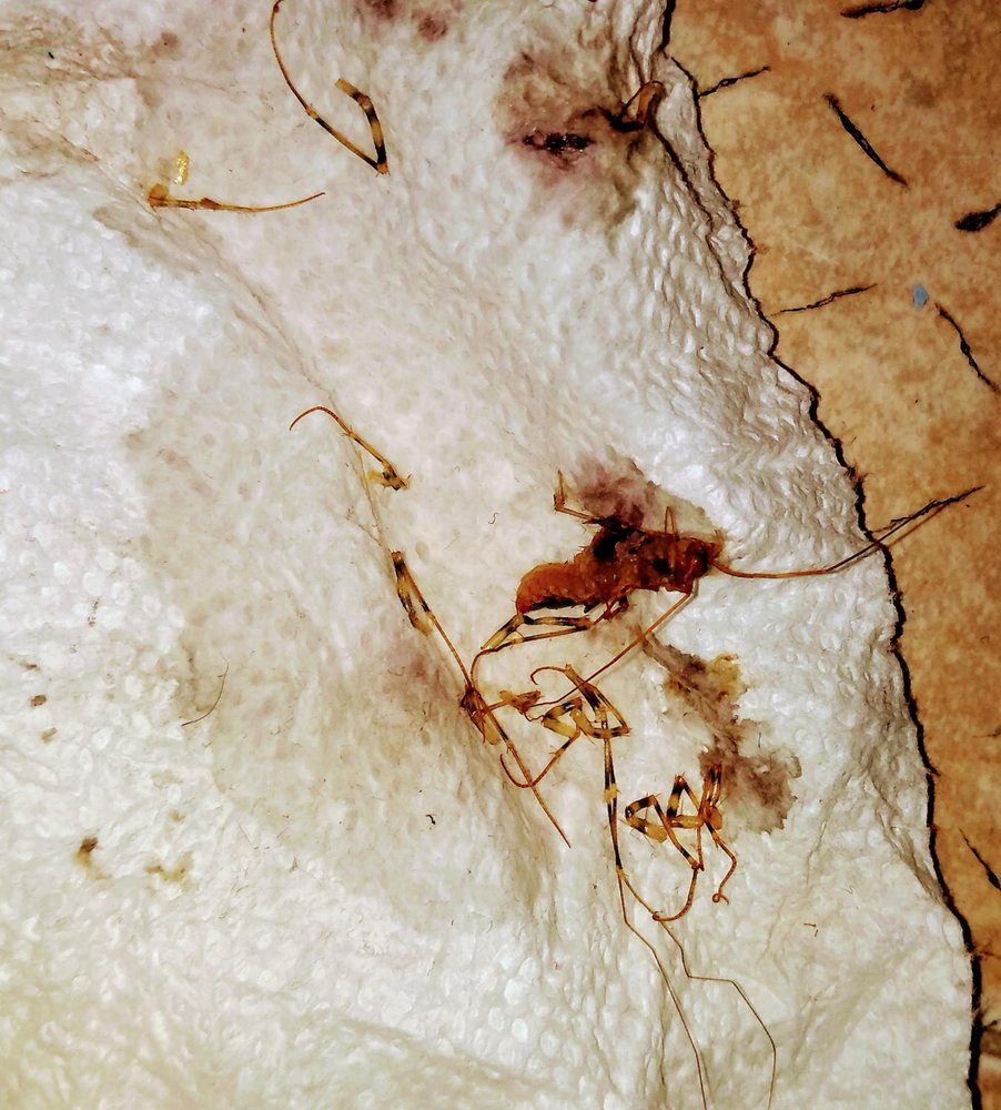 ALMA REALTY CORP Updated September 2024 26 Photos & 68 Reviews