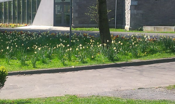 People's Park by null