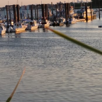 Island Current Fleet - Fishing Near Me - Bronx, New York Island Current Fleet - Fishing Near Me - Bronx, New York