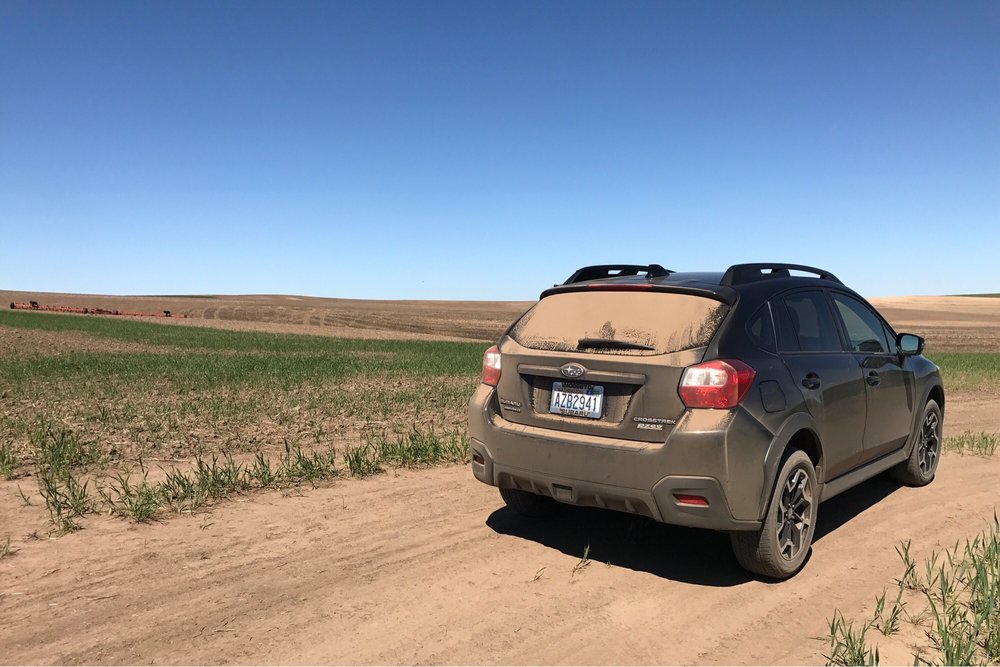 BROWN BEAR CAR WASH Updated May 2024 11 Photos 2400 1st St, Cheney, Washington Car Wash