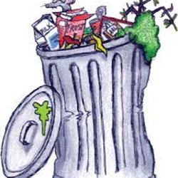 Bag Lady - changed to Coastal Bend Waste best move I ever made