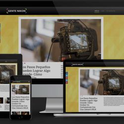 DSN House Collective - Mobile responsive web design.