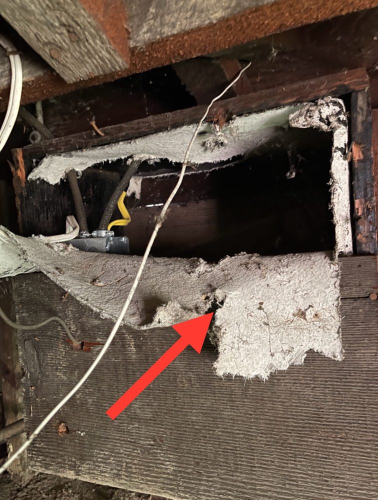 TITAN Environmental Solutions - mold inspector in San Diego, CA