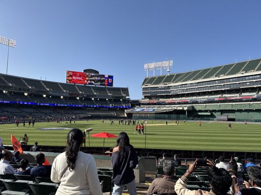 Oakland Coliseum by null