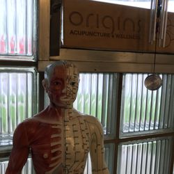 Origins Acupuncture and Wellness