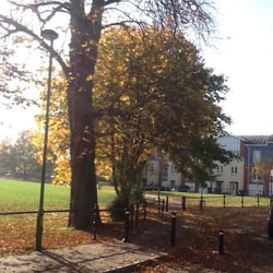 Watford Fields