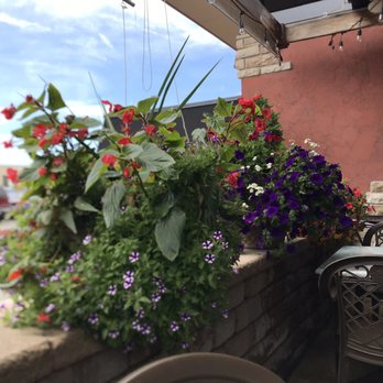 That's Amore - The amazing flowers on the patio. - Italian Near Me - Greenfield, Wisconsin That's Amore - The amazing flowers on the patio. - Italian Near Me - Greenfield, Wisconsin