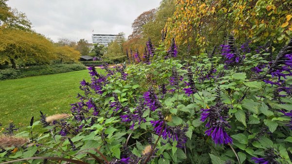 Ørstedsparken by null