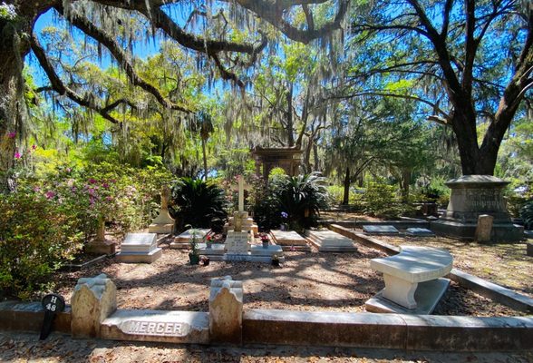 Bonaventure Cemetery by null